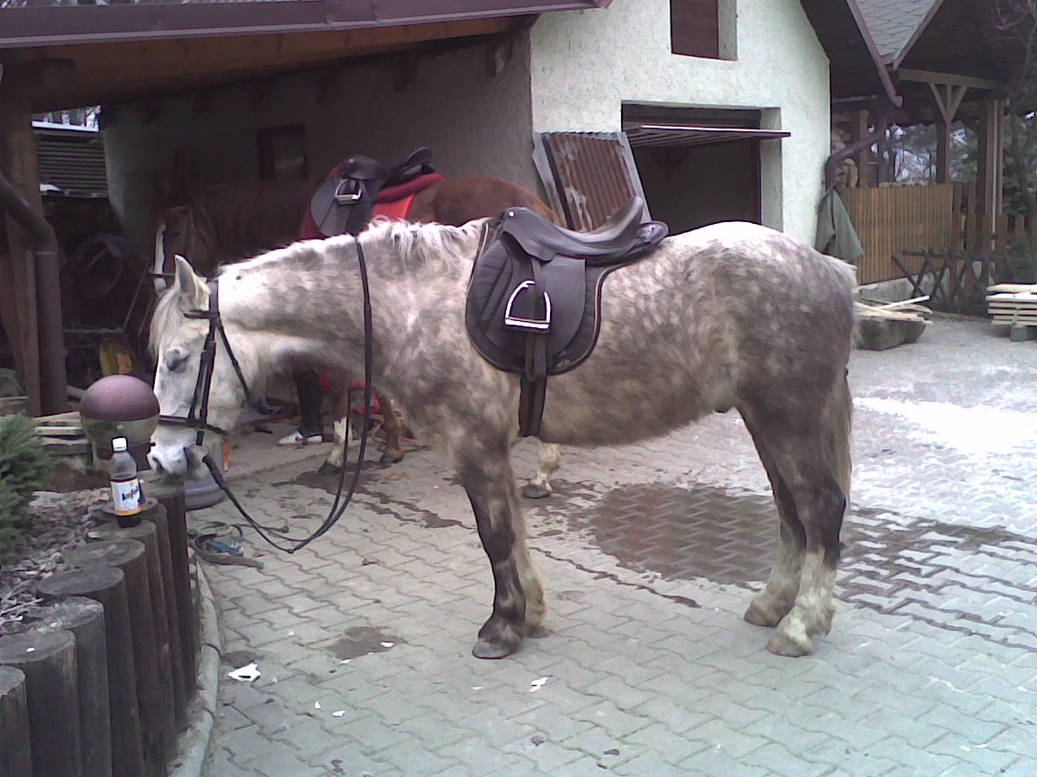 Obraz013.jpg