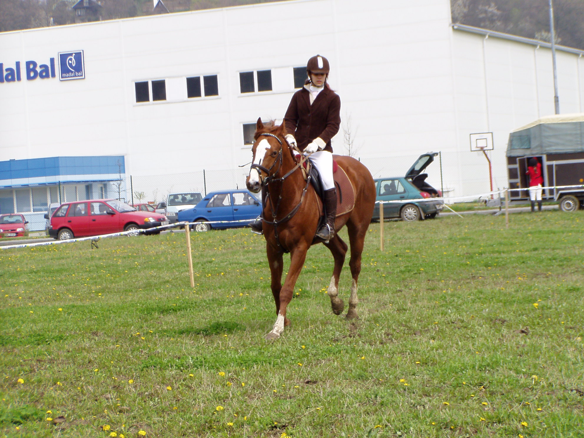 P1010065.JPG